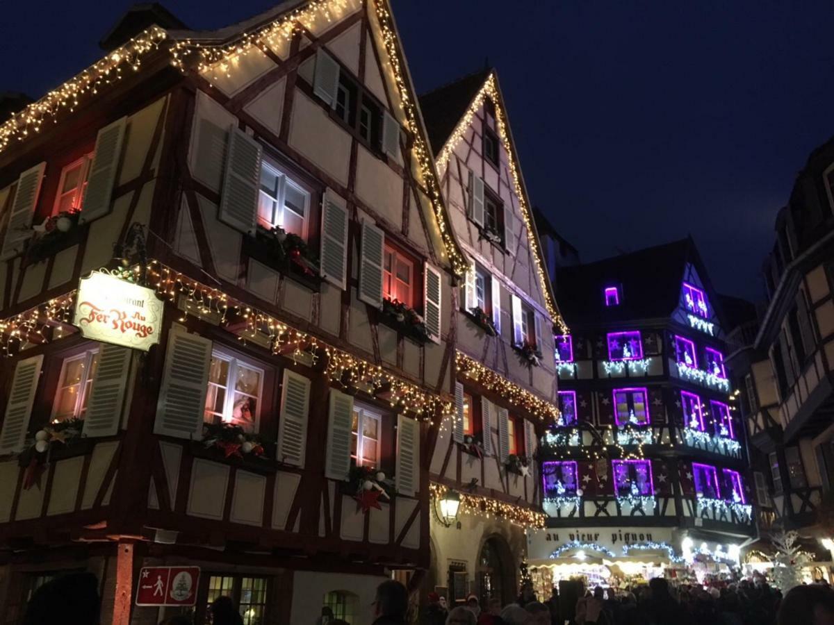 Beaux Lofts Pres D'Europa Park Et Strasbourg Villa Obenheim Bagian luar foto