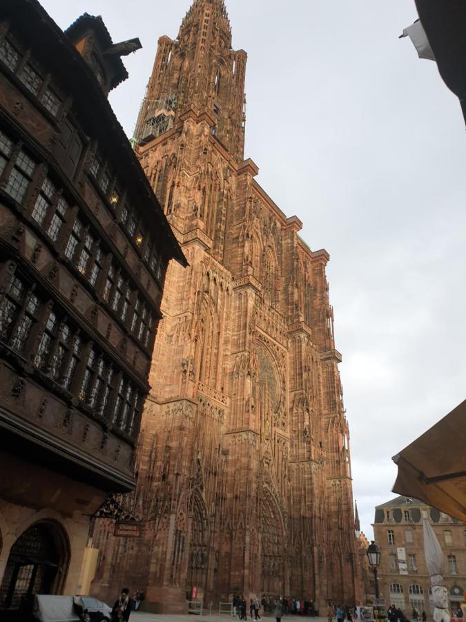 Beaux Lofts Pres D'Europa Park Et Strasbourg Villa Obenheim Bagian luar foto